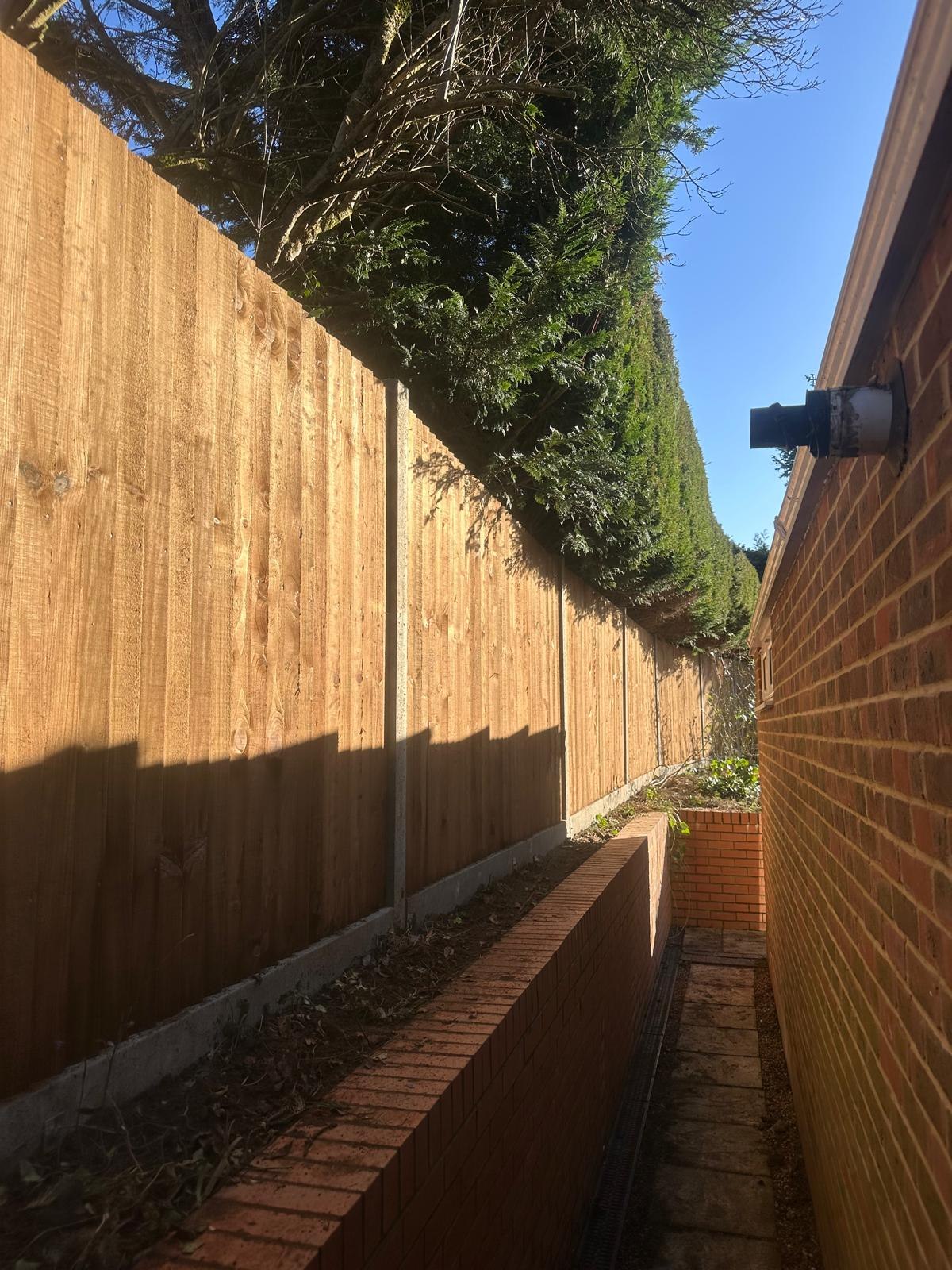 Tall timber close-board fence and gate